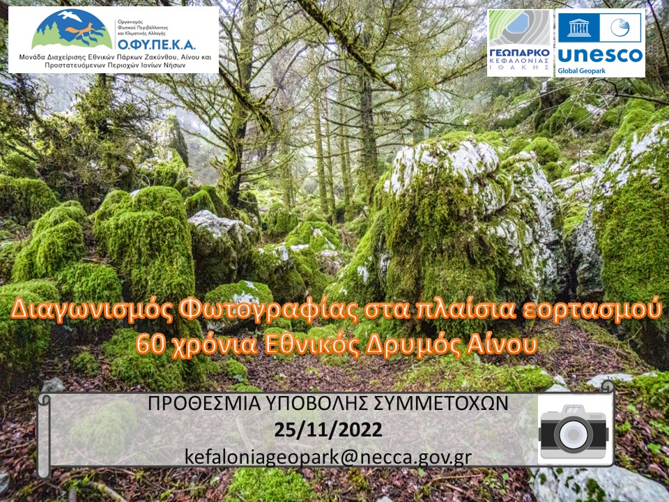 photo contest