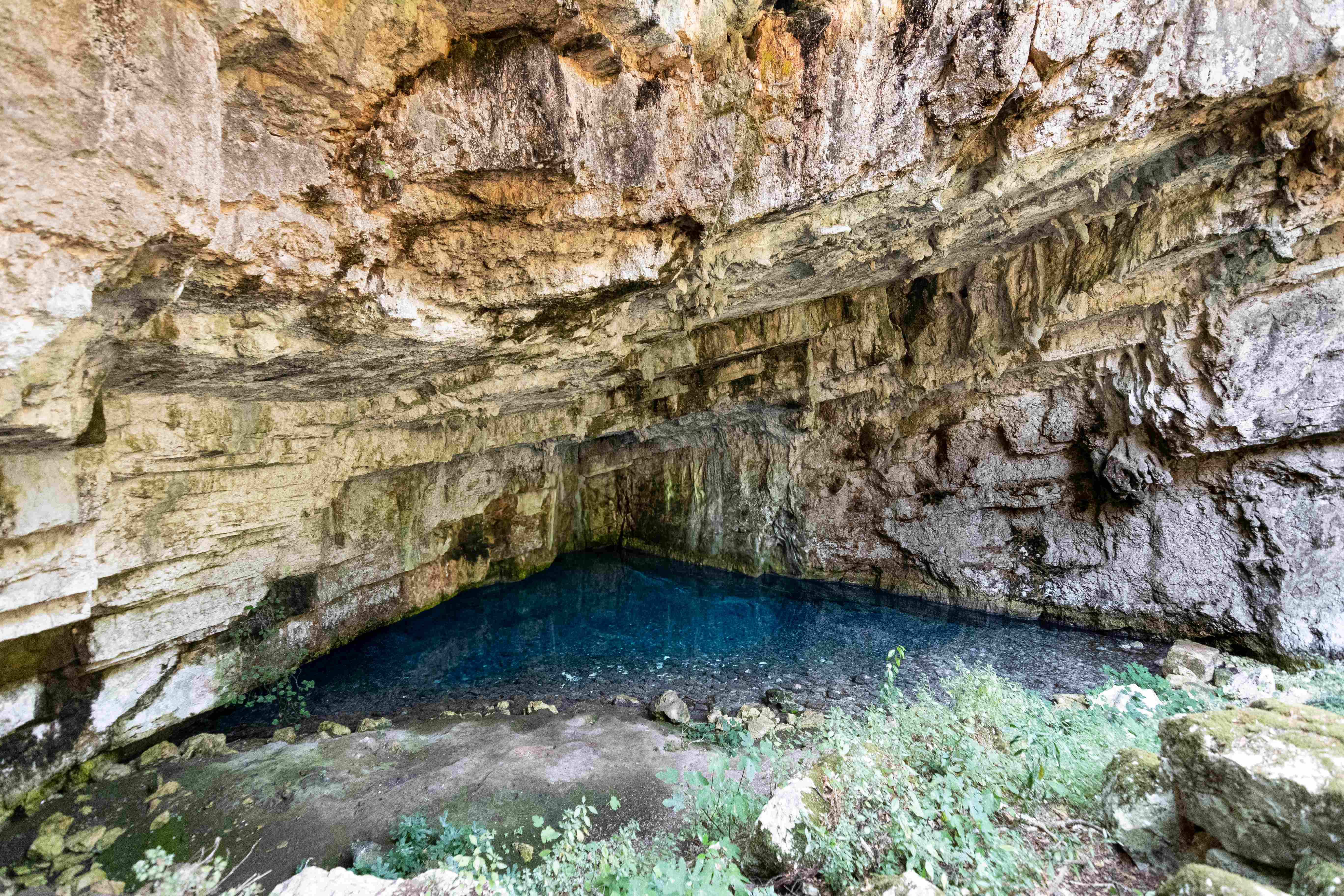 zervati