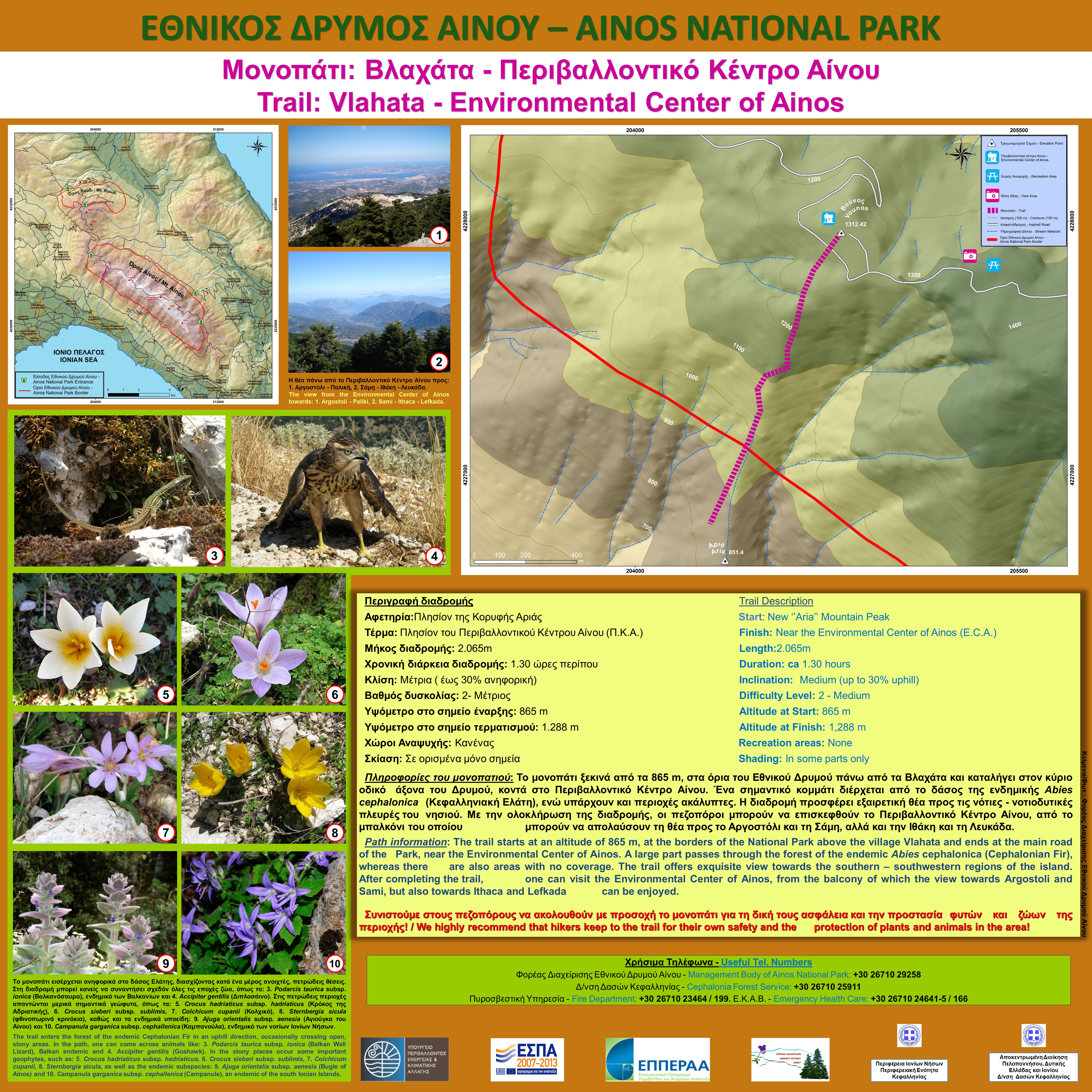 trail2