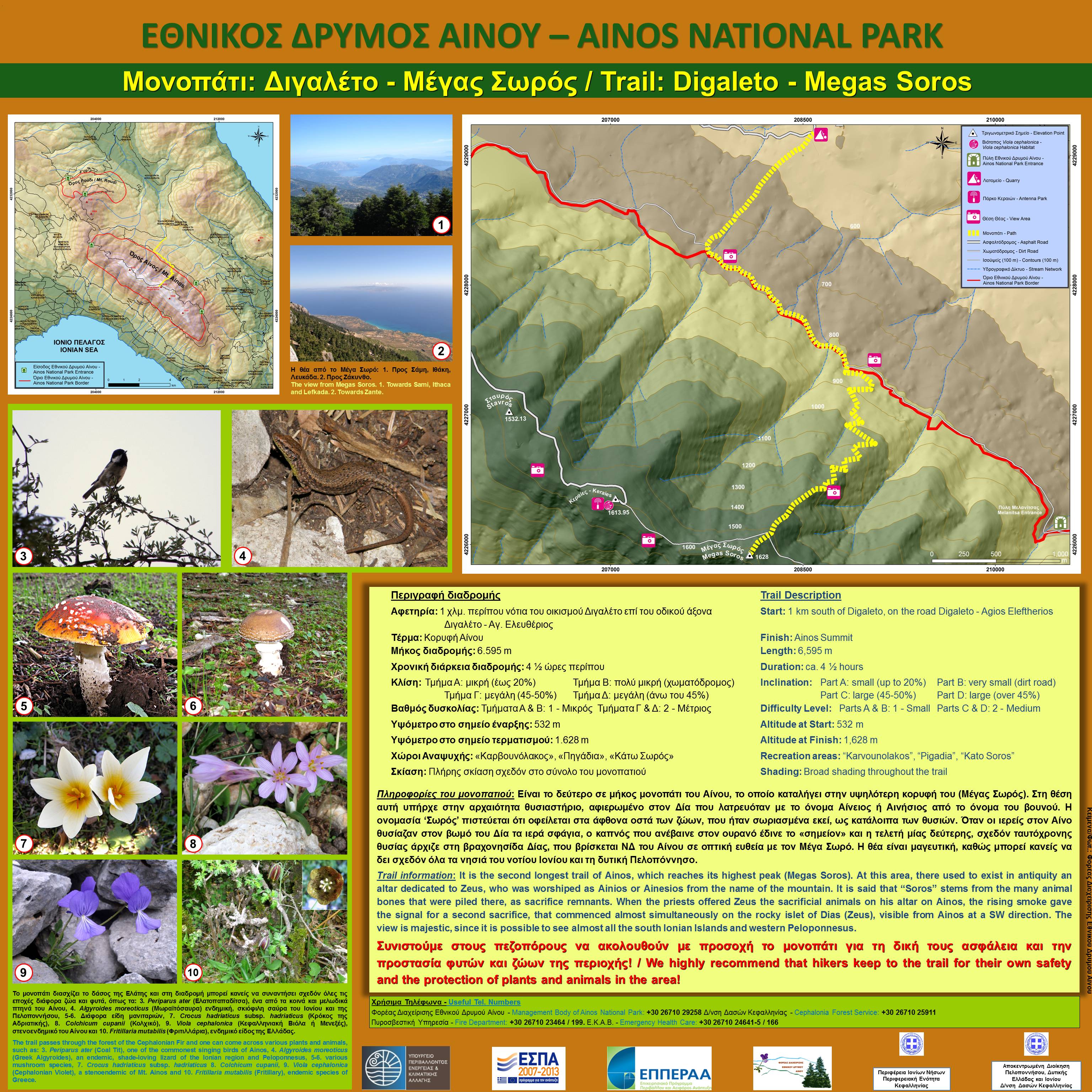 trail3