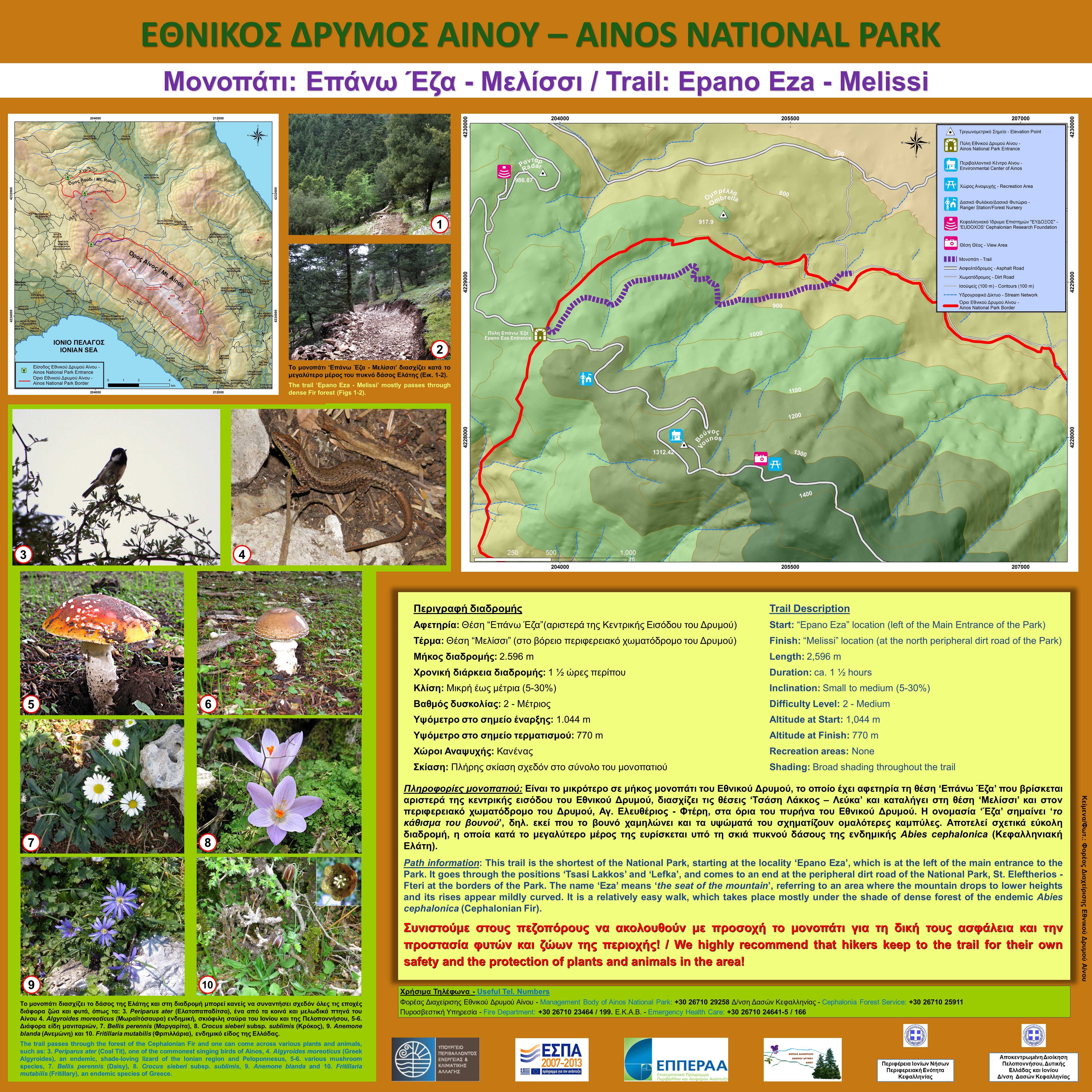 trail4