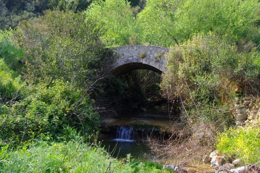 Οικοσύστημα γλυκέων υδάτων 