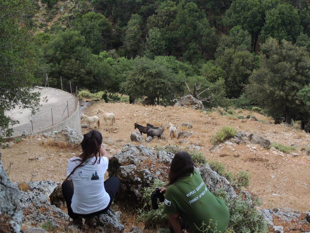 Εθελόντρια από την Ισπανία