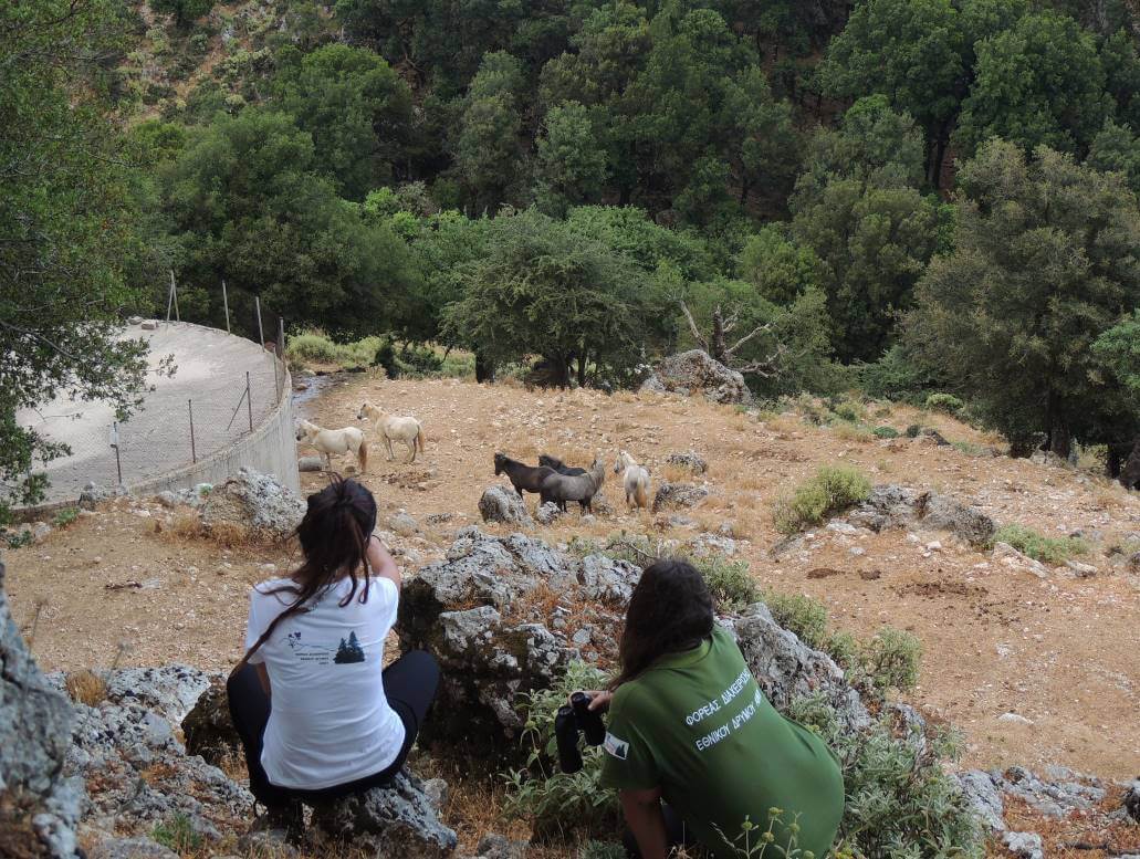 Εθελόντρια από την Ισπανία 