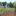 Image removed.