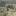 Image removed.