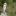 Image removed.