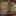 Image removed.