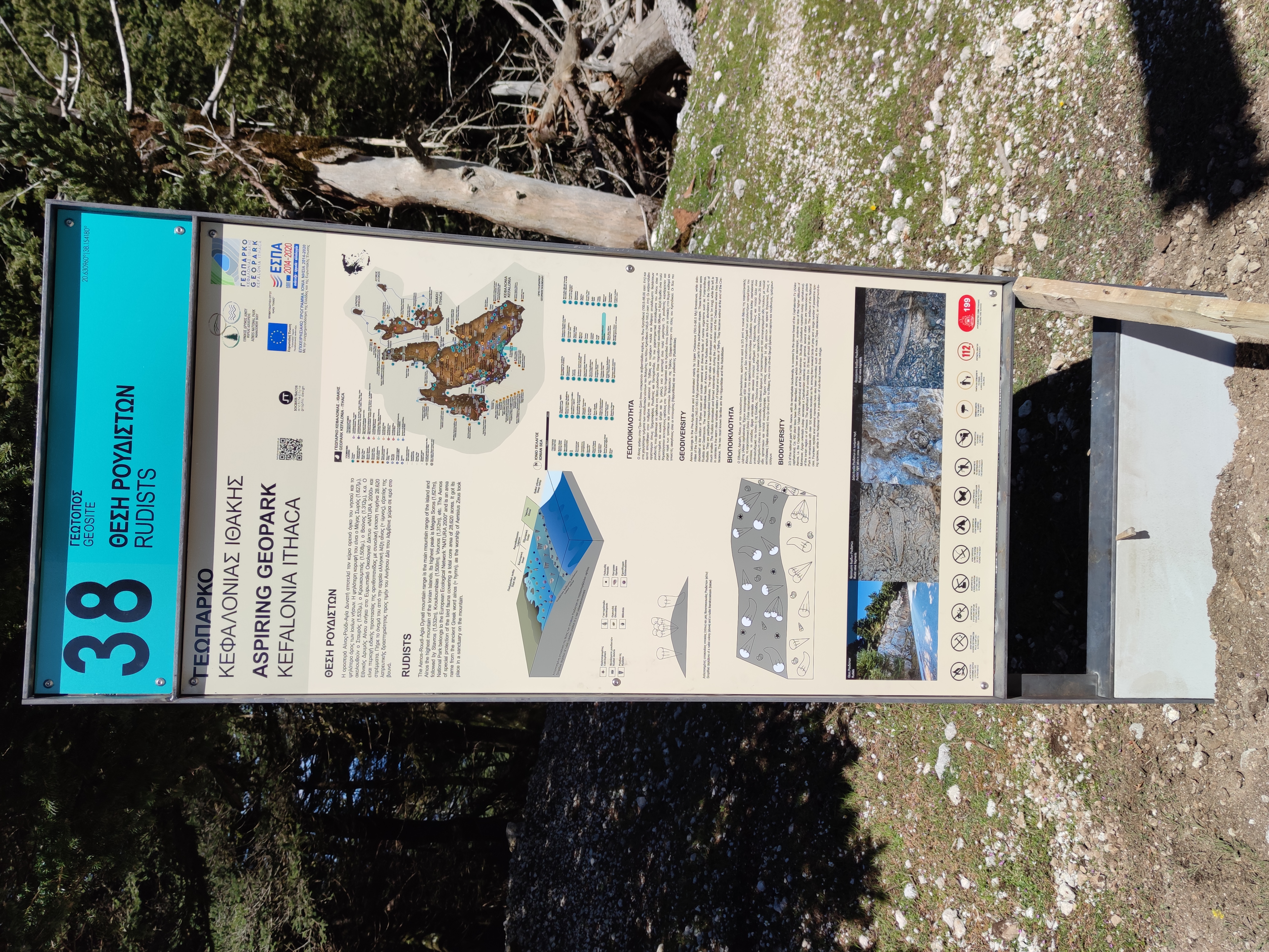placement of info-panel Rudists