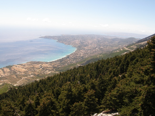 Άποψη του δάσους της κεφαλληνιακής Ελάτης στον Εθνικό Δρυμό Αίνου
